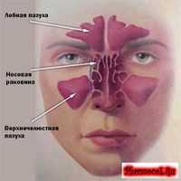 Пресбиопия: ее причина и лечение. Приборы для гониоскопии. Придаточные пазухи носа.