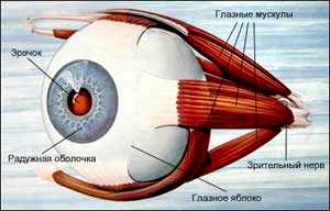 катаракта глаза операция стоимость спб